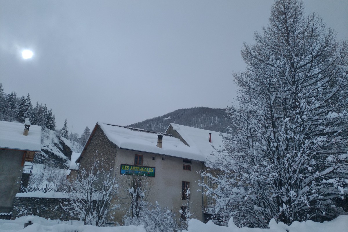IMG 20190202 113701