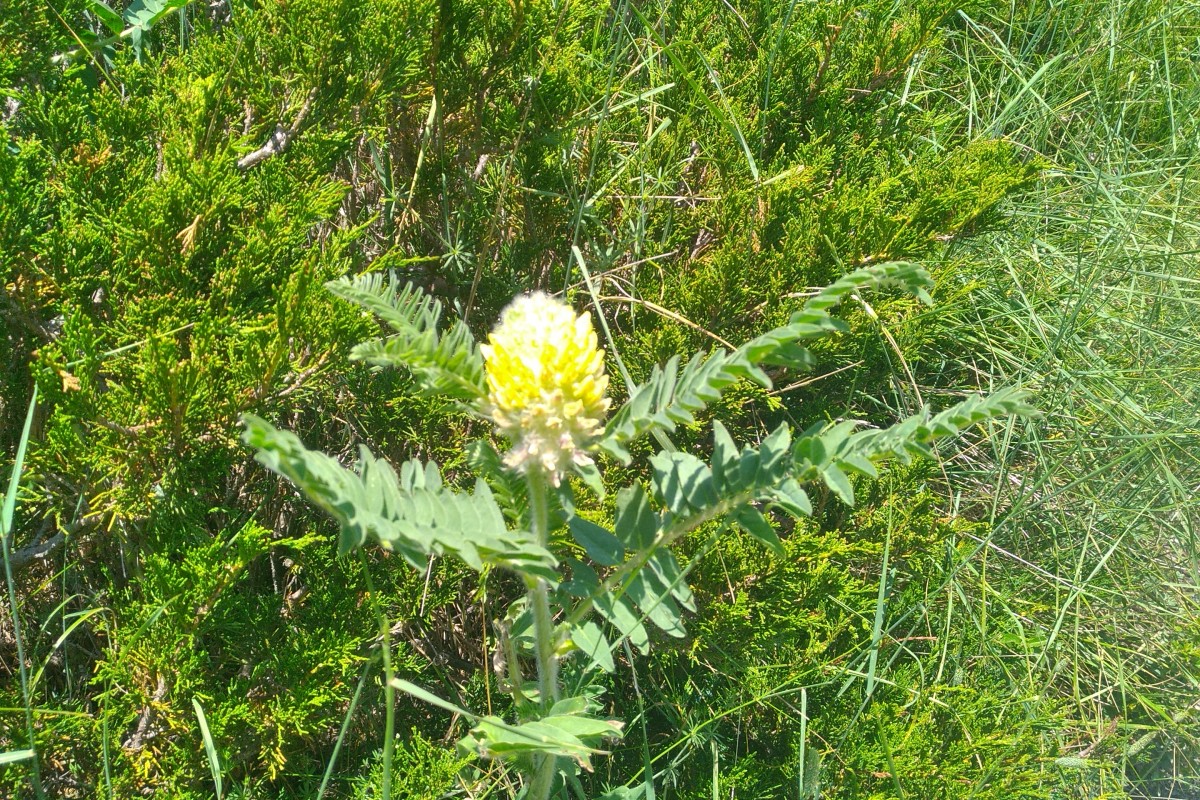 IMG 20190703 142639