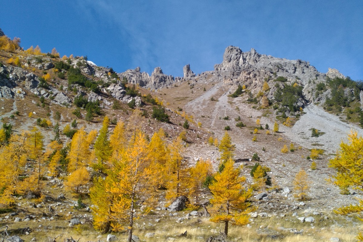 IMG 20191017 114734