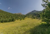 a la sortie du bois de cheynet vue sur col bramousse