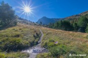 alpages humides sentier