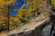 Montée vers le Lacroix : après la clairière