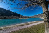 A l'ombre des arbres du lac d'Eygliers