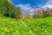 arrivee au petit belvedere