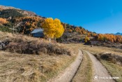 arrivee au thioure GR58 ceillac en automne