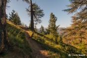 arrivee en haut du bois
