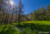 arrivee plan du vallon