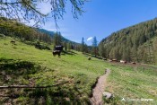 arrivee pre premier sentier col fromage