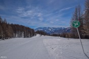 L'itineraire délicieux à travers les bois La Route