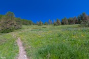 ascension bucolique foret bois pisan en vue