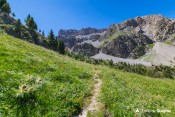 ascension chardon sentier col houerts