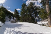 ascension en foret vue ceillac