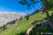 ascension vallon selette balisage GRP pin cembro sentier col houerts