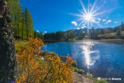 automne au lac de roue