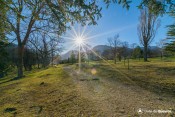 balade dans la plantation sous le soleil