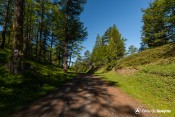 balade pre du laux sommet sentier