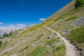 balcon fleuri sous ciel bleu