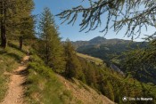 balcon vert sur vallon de peas