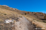 balidage gr58 sentier pierre estronques