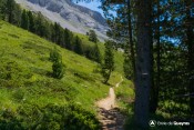 balisage GR sous crete selle sentier col fromage