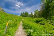 balisage pr sentier pre michel