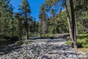 balisage pr sous bois vers laugier