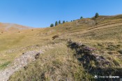 balisage terrasse montette pour mayt