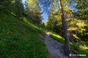 belle montee en sous bois en dessous collet