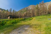 bergerie de la lavine etable des genisses