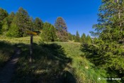 bifurcation a droite pour etang du moussou