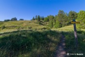 bifurcation au niveau etang moussou