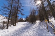 bifurcation les loups au niveau pont vieux