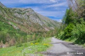 bifurcation petit belvedere depuis route grand belvedere