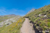 bric bouchet fleure depuis sentier col