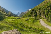 cabane du berger sur route gd belvedere viso
