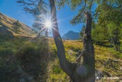 cache cache avec le soleil