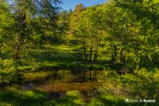 calme etang moussou