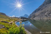chardons devant viso au lac clot sable