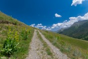 chemin accompagne de fleures vue aigue agnelle