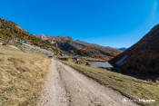 chemin forestier avant le villard