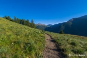 chemin large pour panoramique