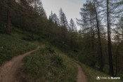 chicane dans bois clot charin