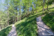 chicane sous bois chaurionde