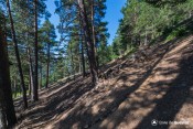 chicane sous bois gr5