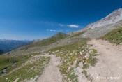 chicane sous col de peas