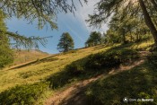 chicane sous melezes vallon valpreveyre
