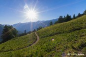 chicane sur chemin panoramique