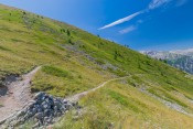 chicane verdoyante sous les pentes de riou vert