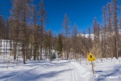 circulation piste fond roue double sens