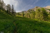 clairiere cabane lamaron
